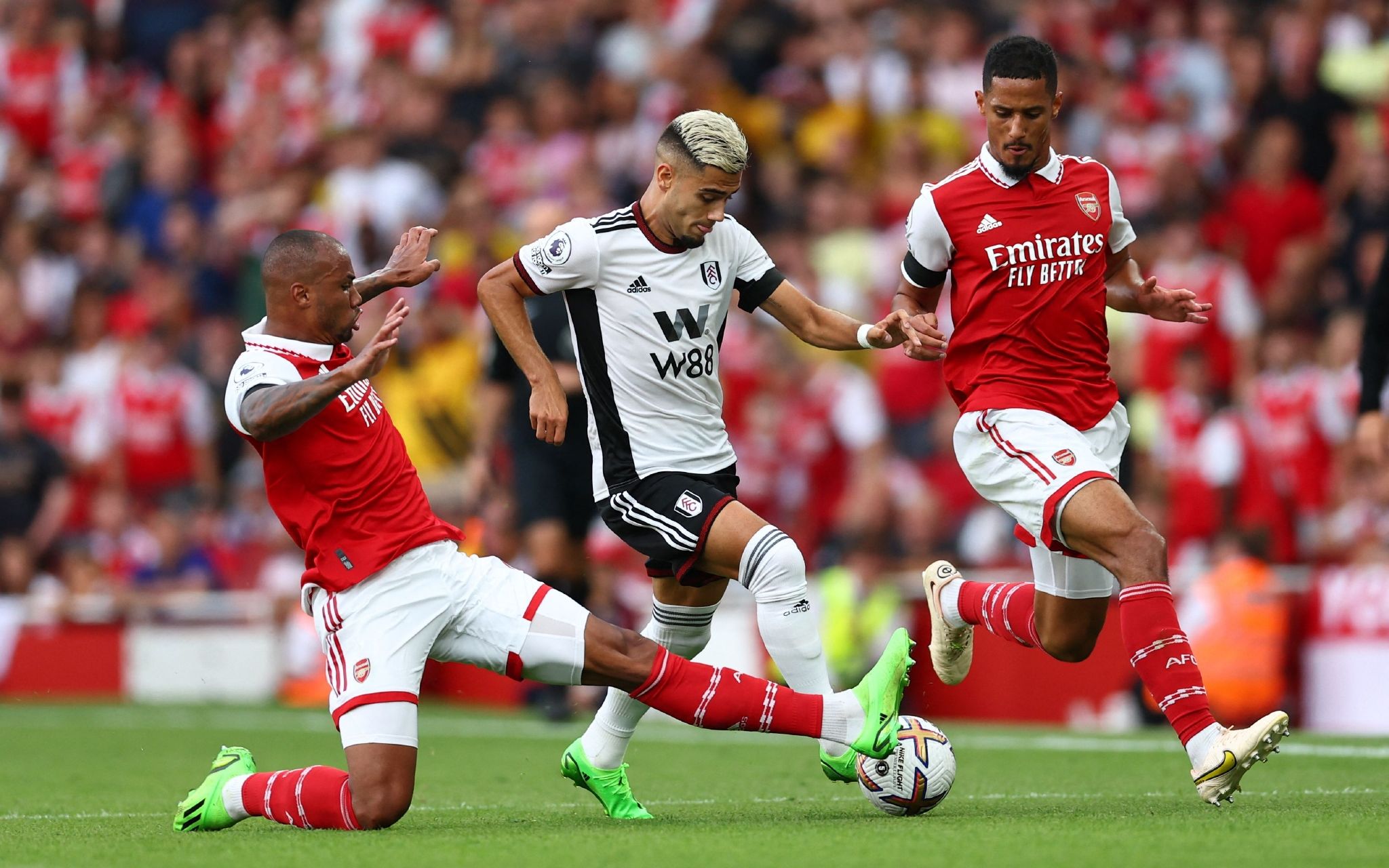 洛斯更符合 洛斯更符合